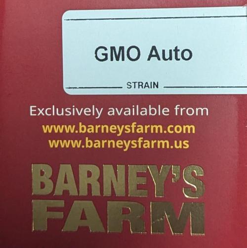 Barney's Farm GMO Auto. Week 0