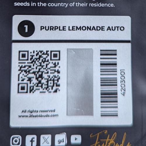 42fastbuds Purple Lemonade Auto. Week 0