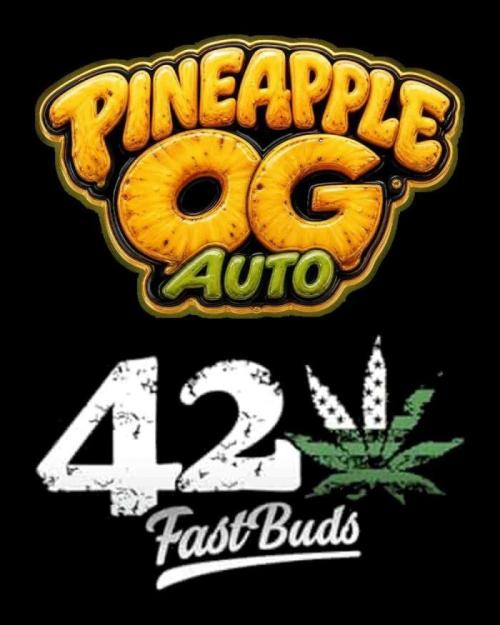 Pineapple OG Auto. Week 6