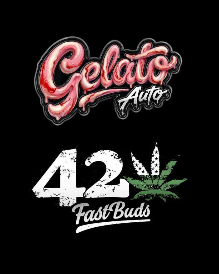 42fastbuds Gelato Auto. Week 4