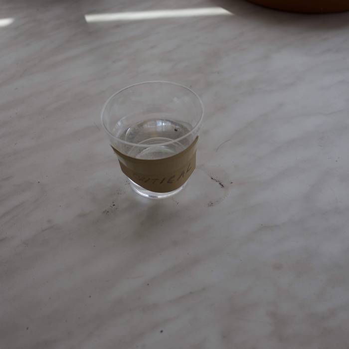 Royals Critical. Week 1 - Critical day0 inwater