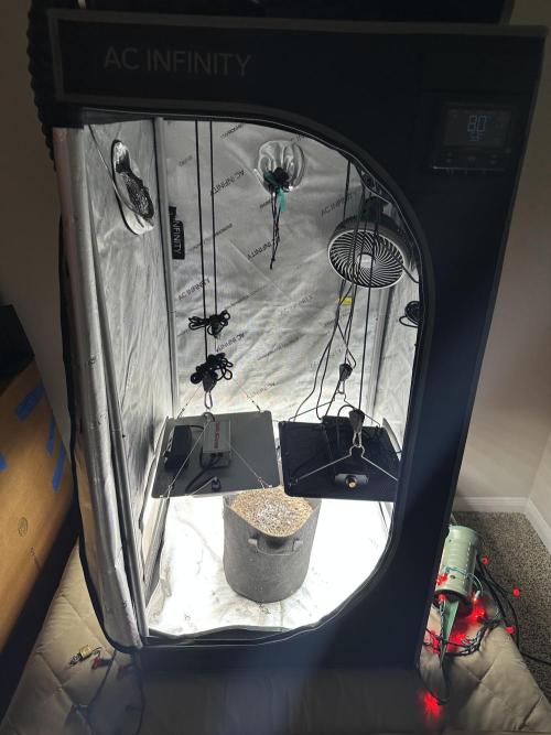 My Magic Bean. Week 0 - My rig.  Will be my 5th grow and this time I have all the right supplies.
