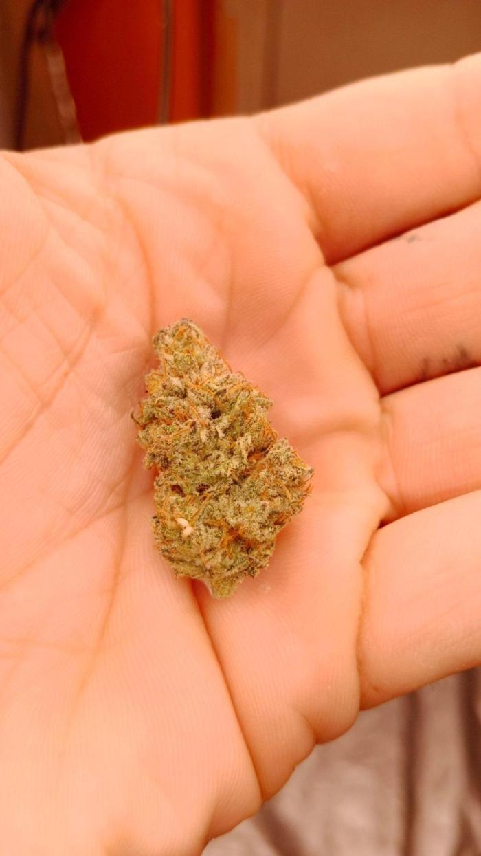 Barney's farm. Week 18