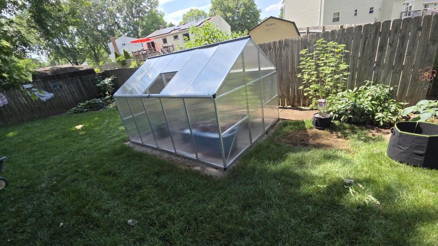 Fastbuds greenhouse. Week 1