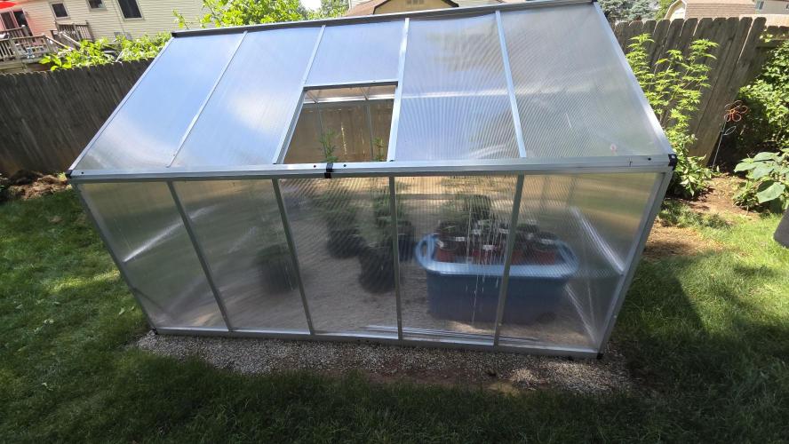 Fastbuds greenhouse. Week 1