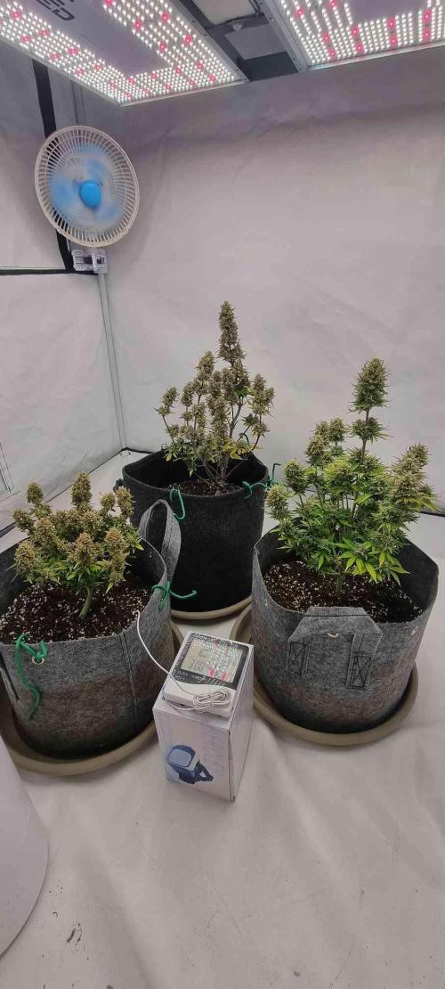 New Journey. Week 8