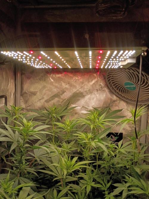 UFO LED. Week 9