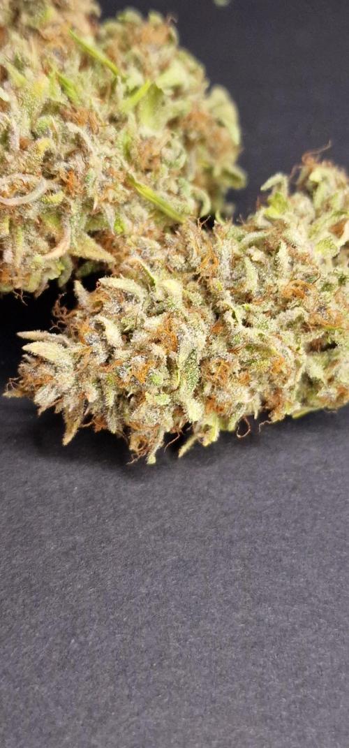 Apfelstrudel. Week 10