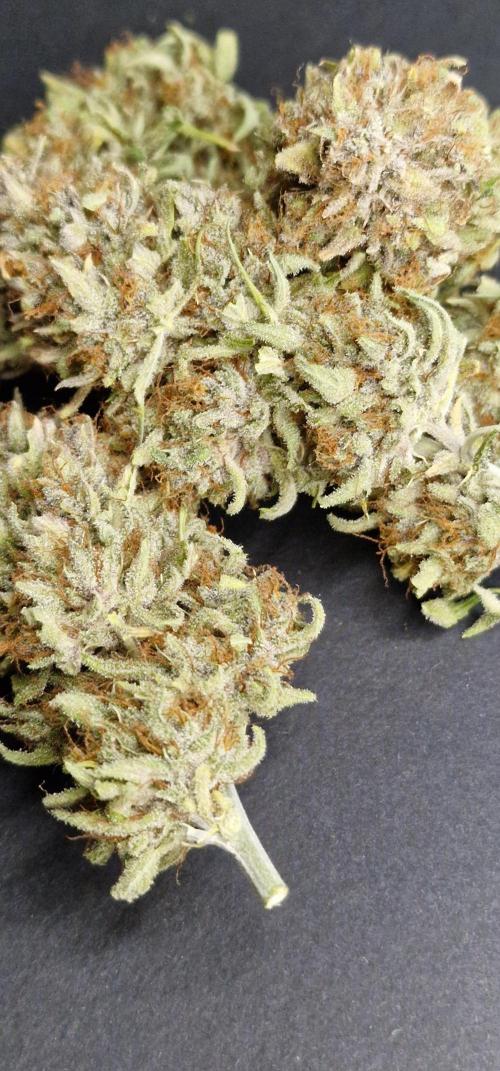 Apfelstrudel. Week 10