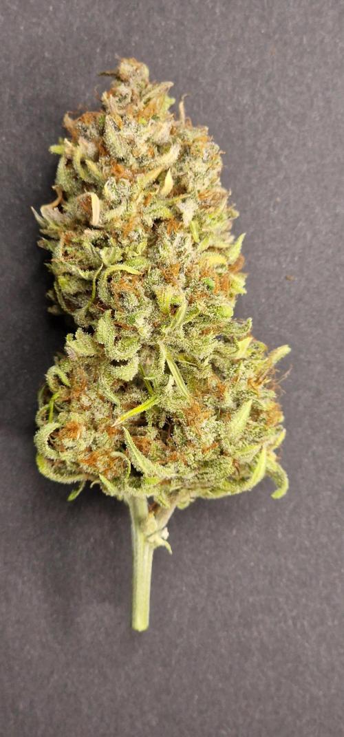 Apfelstrudel. Week 10