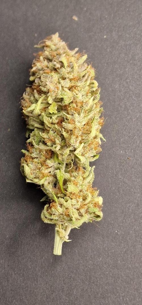 Apfelstrudel. Week 10