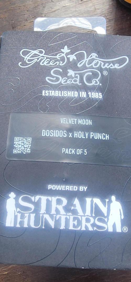 Velvet Moon. Week 0