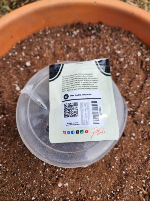 Mix Pack Auto RF3. Week 0