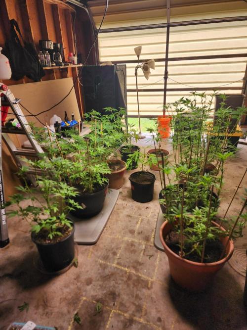 Snoop's punch. Week 12