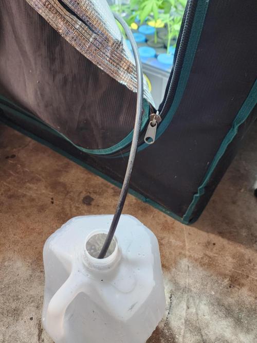 Mix Pack Auto RF3. Week 4
