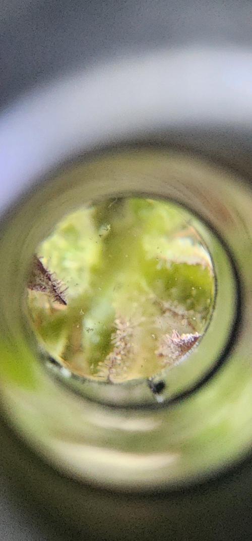 Mix Pack Auto RF3 ( 1 Reverse to male). Week 9