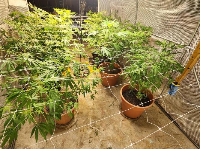 Snoop's punch. Week 17