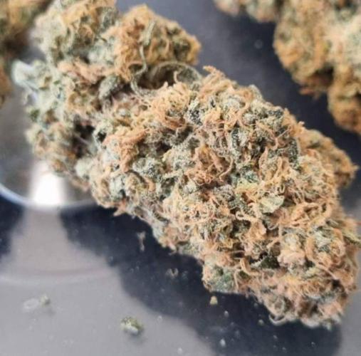 BlueDream - Humboldt. Week 15