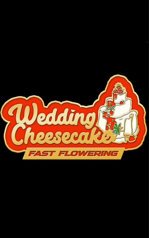 WeddingCheeseCakeFF. Week 1