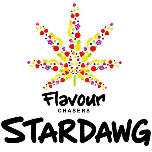 Stardawg. Week 0