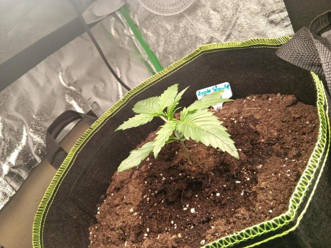 Outdoor Vorbereitungen. Week 2