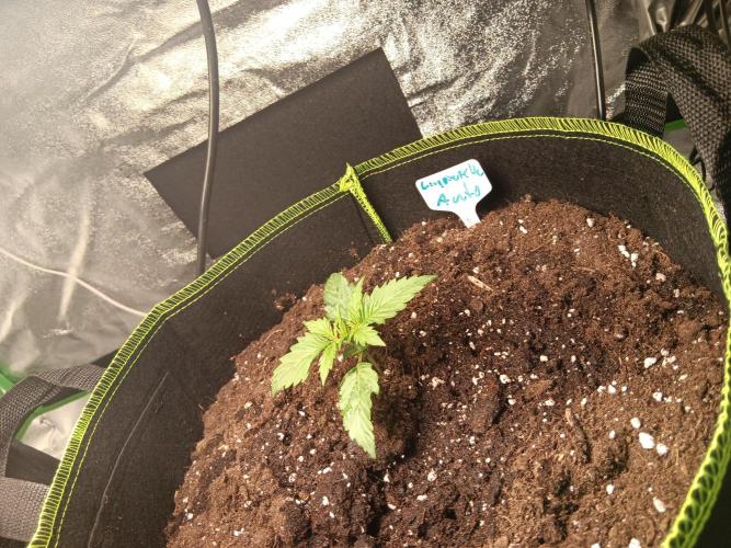 Outdoor Vorbereitungen. Week 2