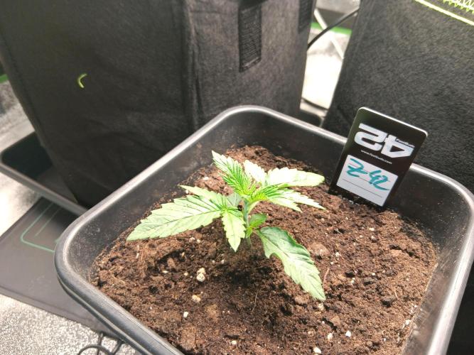 Outdoor Vorbereitungen. Week 2