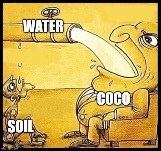 Meme by Burntjalepeno420