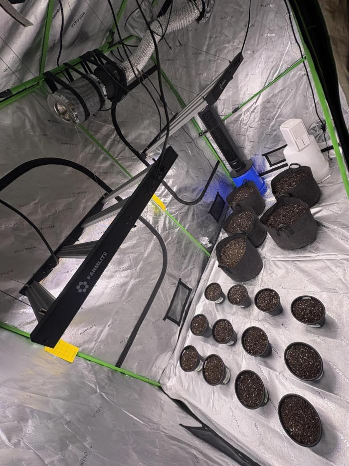 The 25 gal project. Week 0 - 25 gal project. 1 gals will veg in indoor for a month before being moved outside