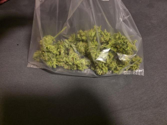 Black Sabbath Cookie. Week 9 - Im dryferm bag