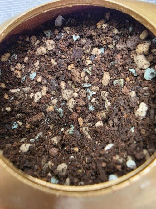 Frosty’s Auto Freak Grow Contest. Week 2 - 25.04.26