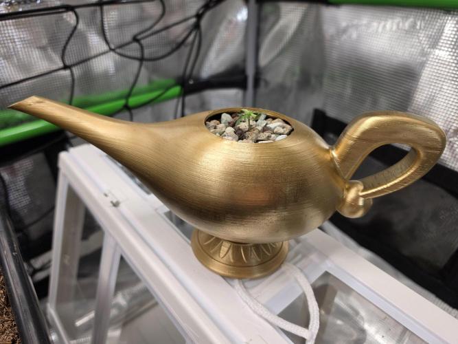 Frosty’s Auto Freak Grow Contest. Week 2 - 28.04.26