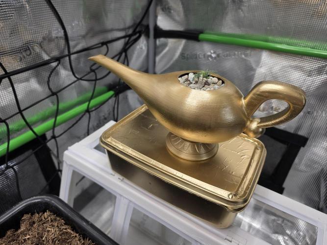 Frosty’s Auto Freak Grow Contest. Week 3 - 02.05.26