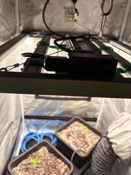 The gassy one/ AutoPot + Athena run. Week 2