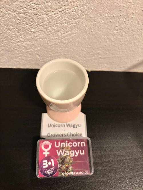 The real hunt for the Unicorns. Week 0