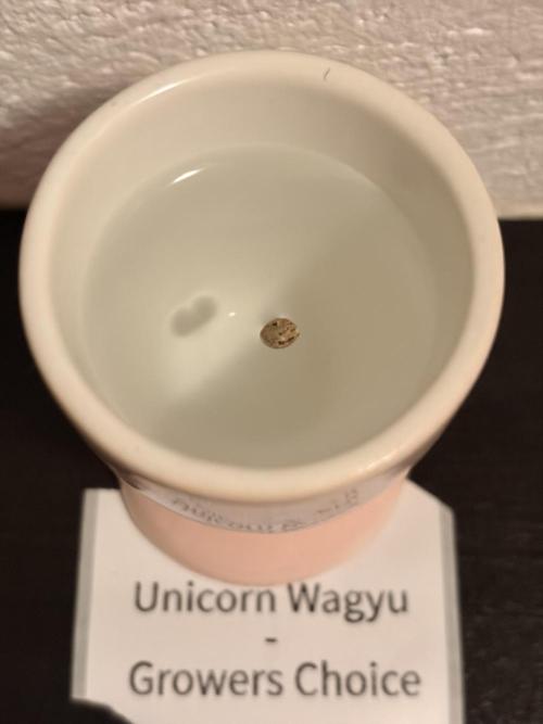 The real hunt for the Unicorns. Week 0