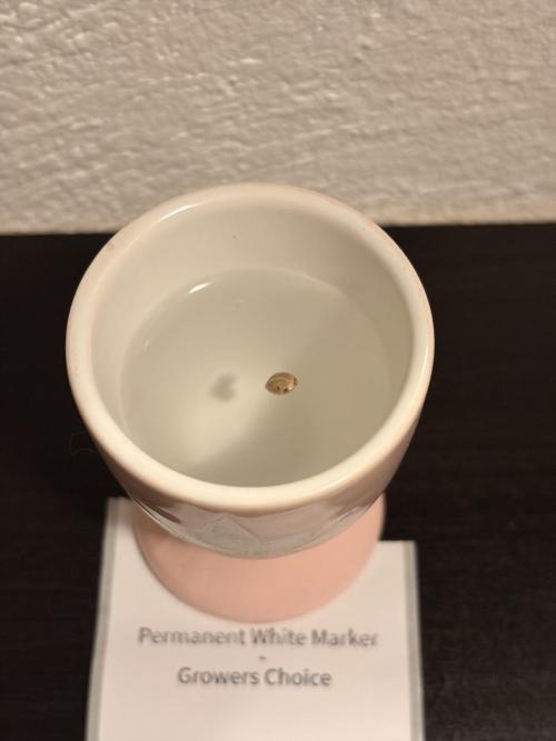 Permanent White Marker–The Frost Report. Week 0