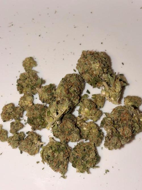 Karel Herer Haze Regular. Week 12