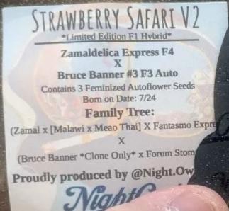NO Strawberry Safari V2. Week 0 - Dropped the girls off at the pool at noon.