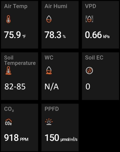NO Strawberry Safari V2. Week 0 - I live in the lung room, so CO2 is elevated.
