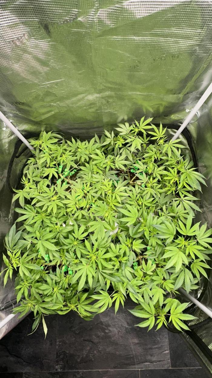 01.01.26. Week 11