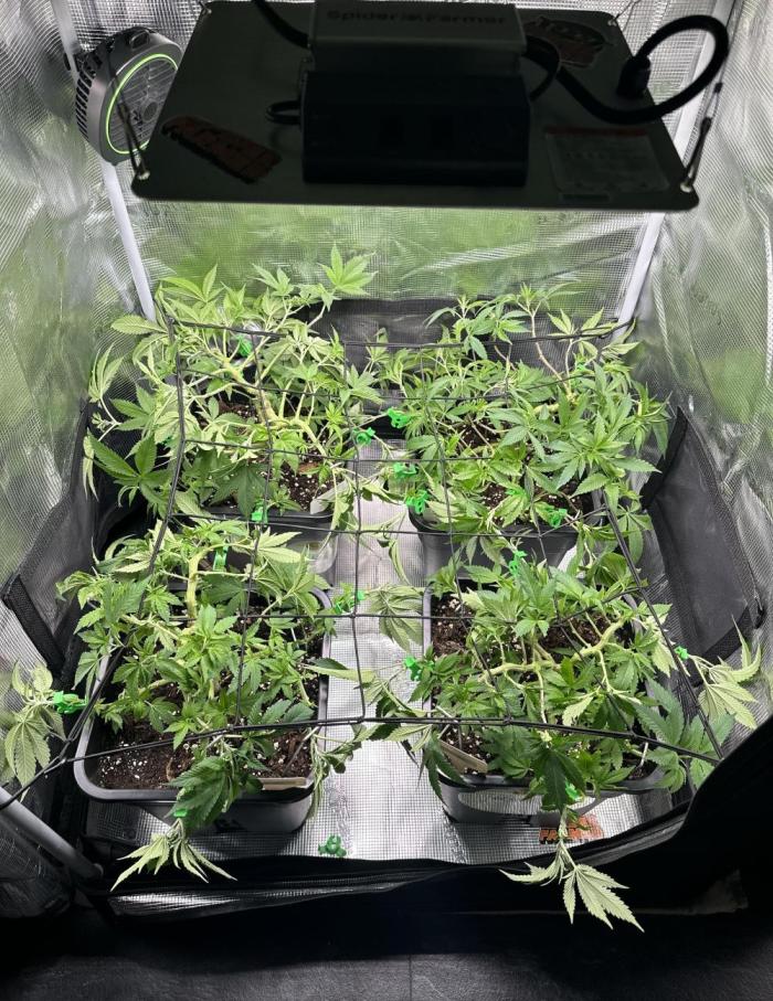 01.01.26. Week 6