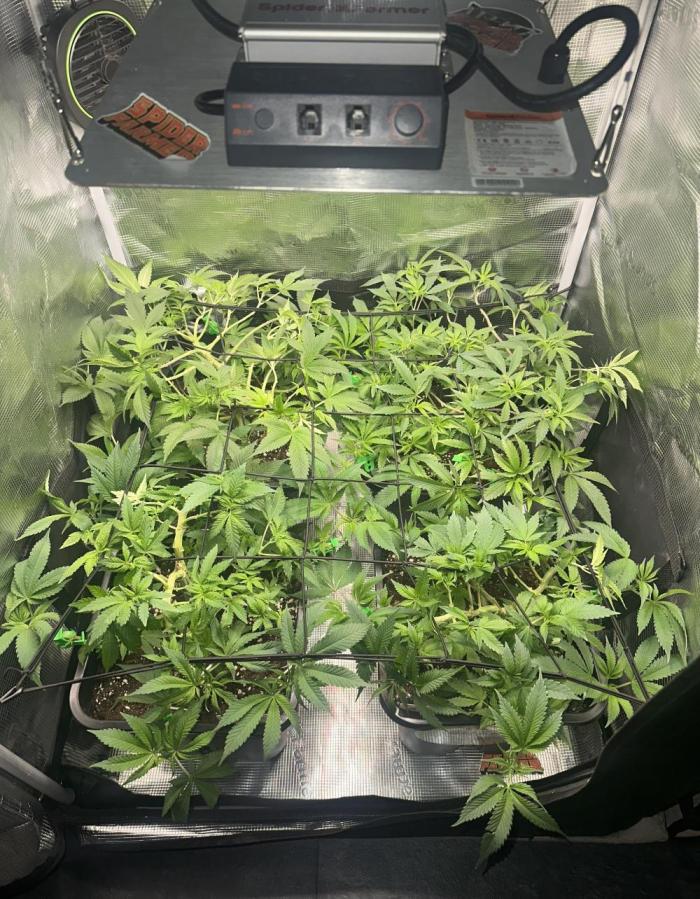 01.01.26. Week 7
