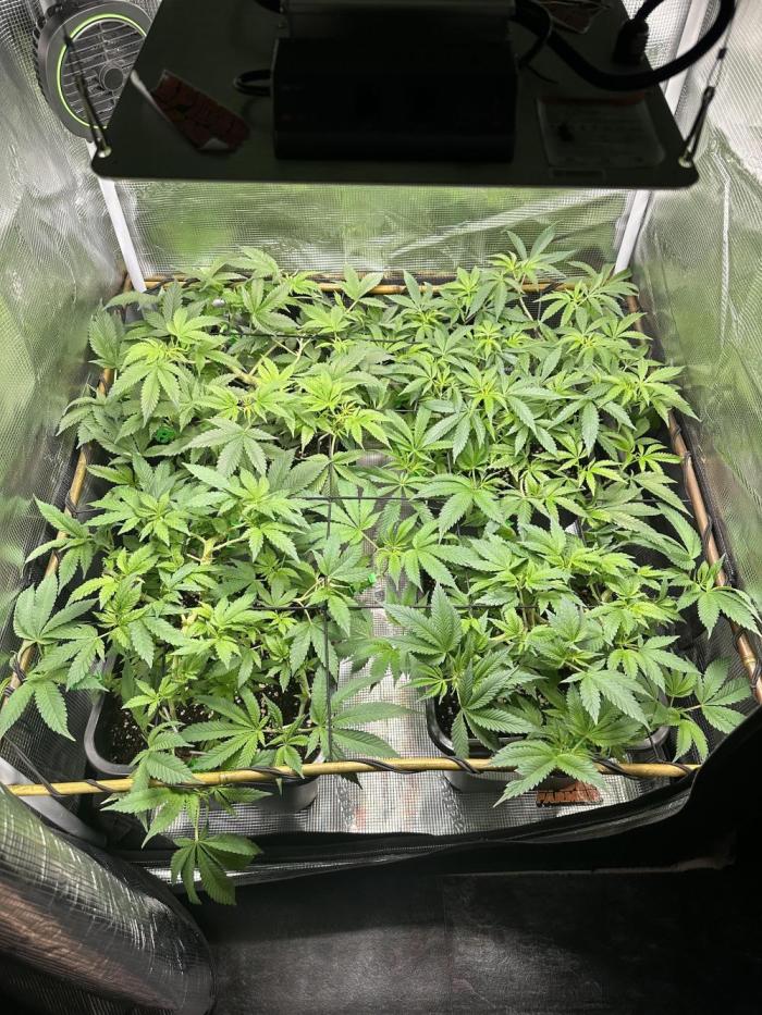 01.01.26. Week 8