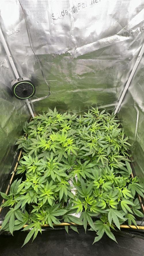 01.01.26. Week 10