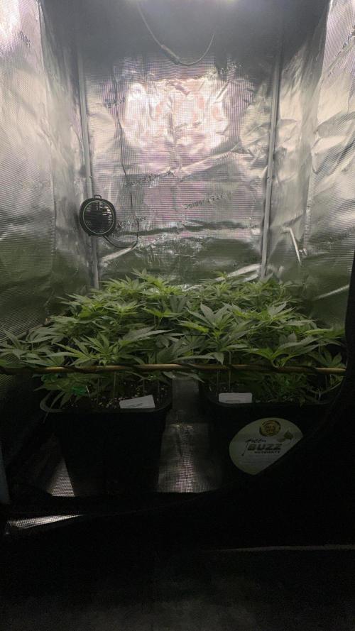 01.01.26. Week 10