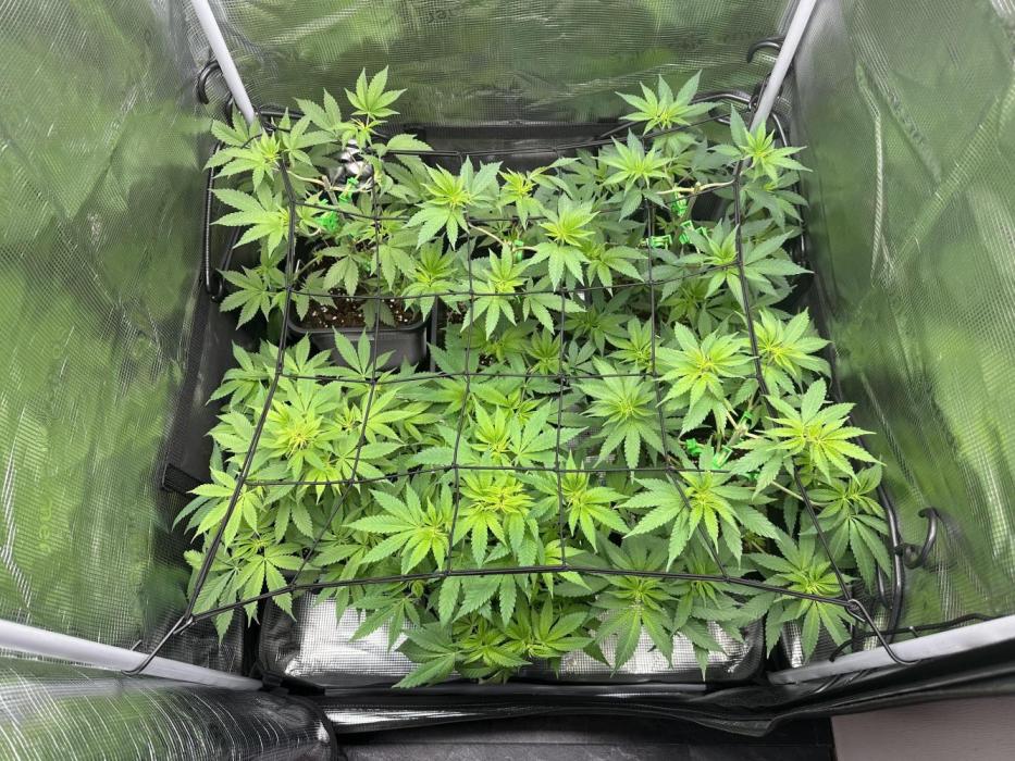 20.09.25. Week 7
