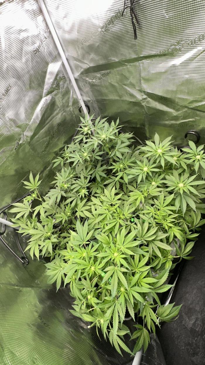 20.09.25. Week 10
