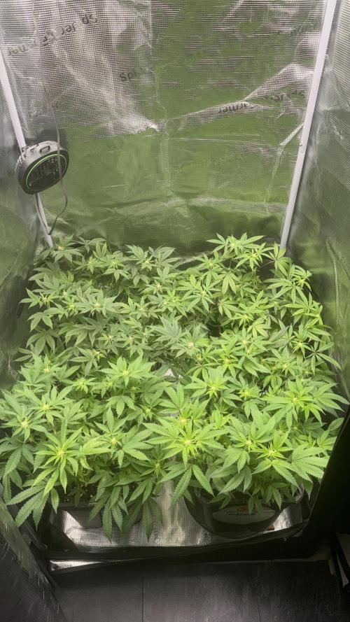 01.01.26. Week 13