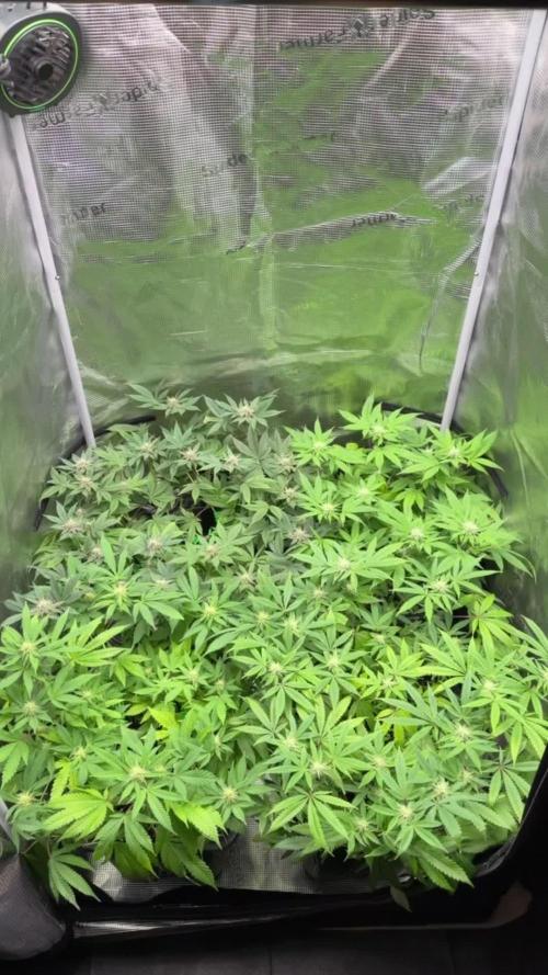 01.01.26